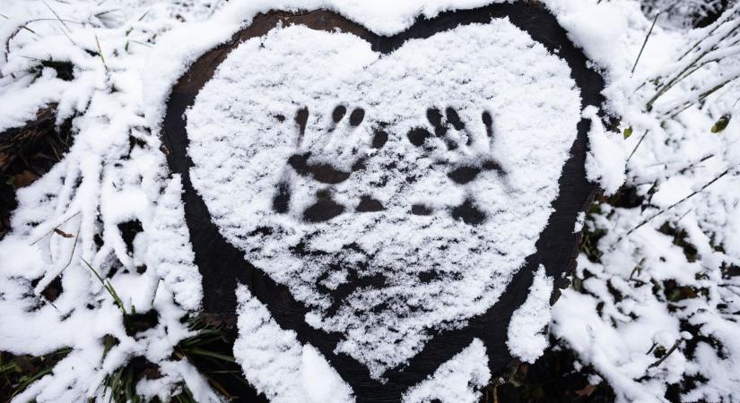 A hétvége legjobb fotói egy helyen