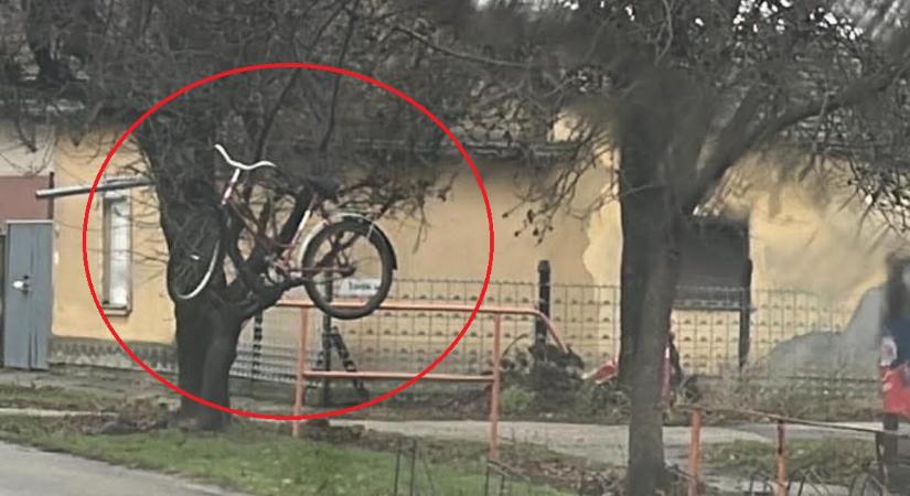 Gyakornok Mikulás tévesztett Vásárhelyen?