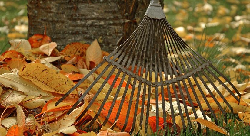 Tavaszig sem jön rendbe a kert, ha novemberben elköveti ezeket a hibákat