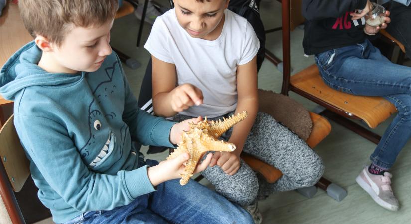 Az óceán mélyére merültek a Bárdos alsósai