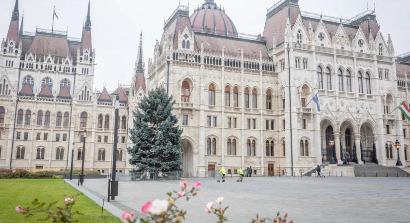 Felállították az Ország Karácsonyfáját - Galéria!