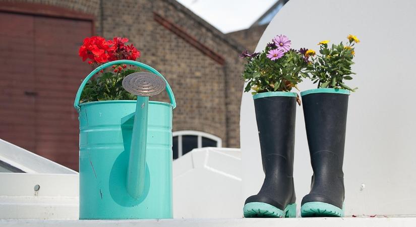 Az ingyenes téli kertépítés titkai