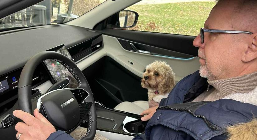 KUTYABARÁT JAECOO 5