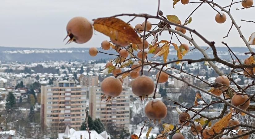 Katalin nem kopog – ilyen időjárás várható holnap