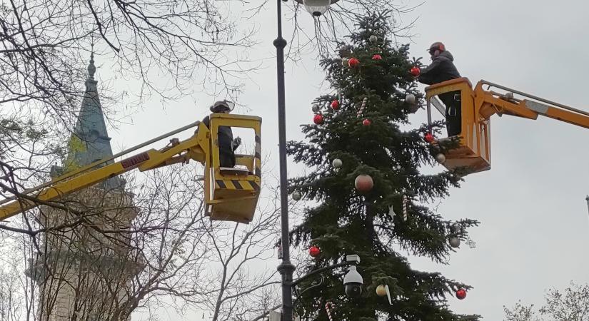 Feldíszítették a város karácsonyfáját