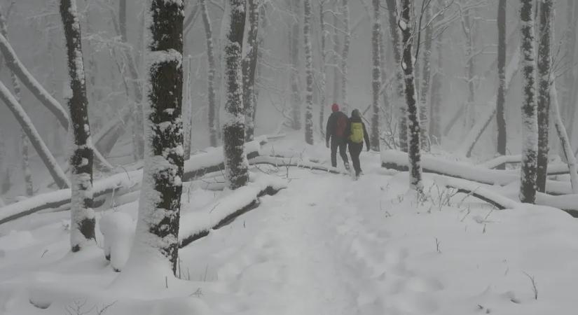 Az első hóban meglepően sokan bolyonganak este a sötét Börzsönyben