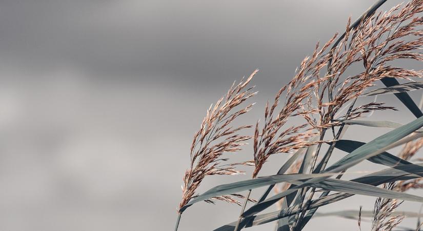 Téli folytatásra számítottunk, de hátraarcot vesz az időjárás VIDEÓ