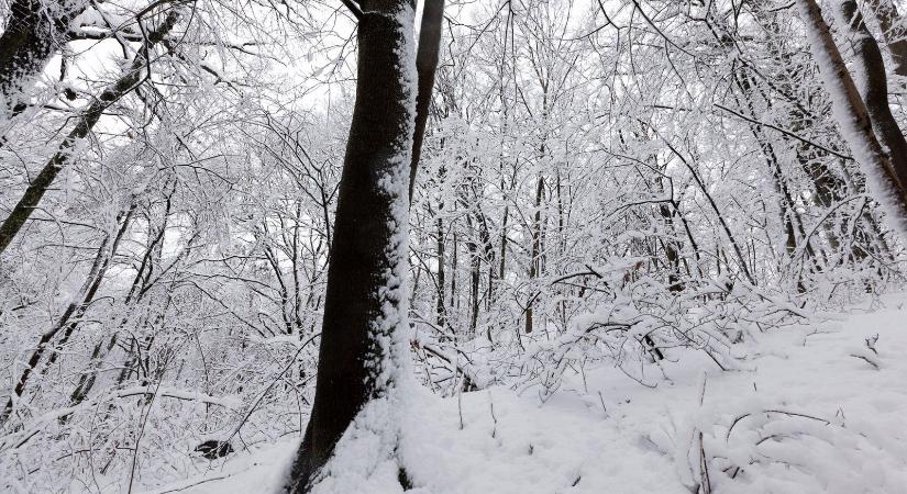 Brutális felvételek érkeztek a Mátrából, kőkemény télre készülhet az ország