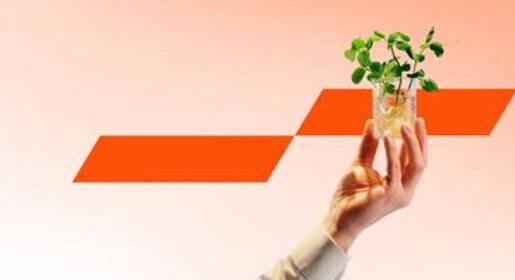 Budapest az újrahasználható csomagolás éllovasa lehetne