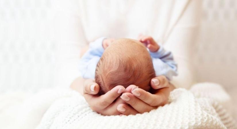 Isten hozott Erna, Auróra, Boróka és Koppány! - ők a legfiatalabb Vas vármegyeiek