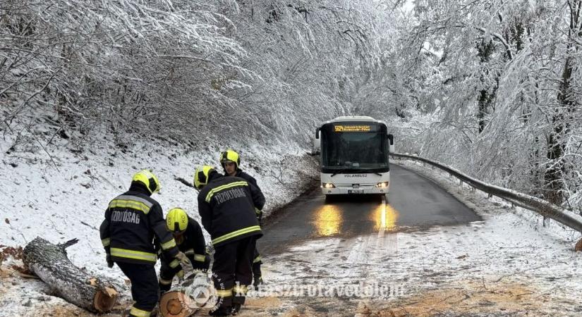 Két autóra szakadt egy hatalmas faág Komlón