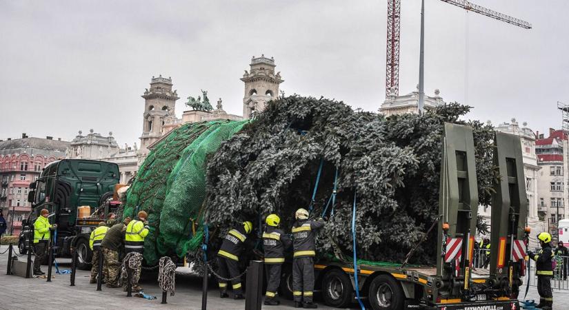 Megérkezett az ország karácsonyfája Budapestre az Országház elé (fotók)