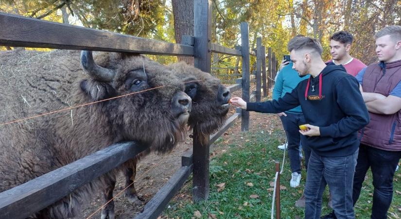 Mérnökhallgatók jártak terepgyakorlaton a Körösvölgyi Állatparkban