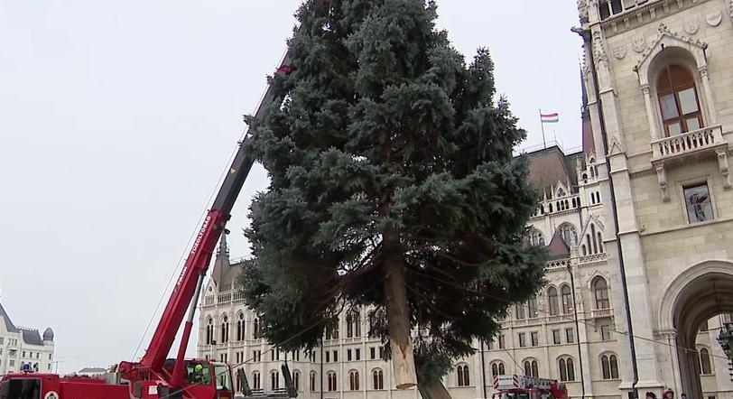 Radar – Megérkezett a Kossuth térre az ország karácsonyfája  videó