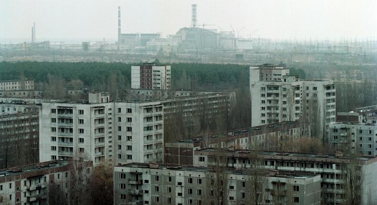 Különleges és ritka állatok tértek vissza a Csernobil körül kiürített zónába