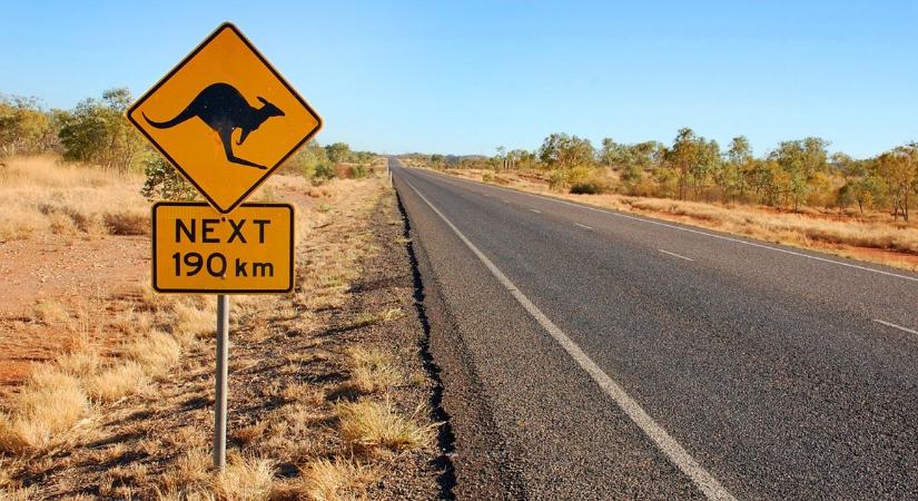 Az ausztrálok hamarosan nézhetik az (óriás)pókot a sarokban és semmi mást