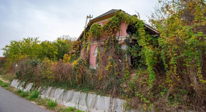 Mindent hátrahagyva tűntek el a dédszülők a Tolna vármegyei házukból – Galéria