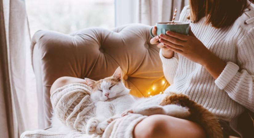 4 otthoni hygge rituálé, ami szebbé teheti a napjaidat: tanulj a skandinávoktól!