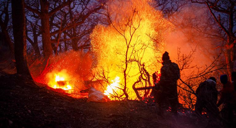 Hetek óta tombolnak erdőtüzek Iránban, a lángok egy Unesco világörökséget fenyegetnek
