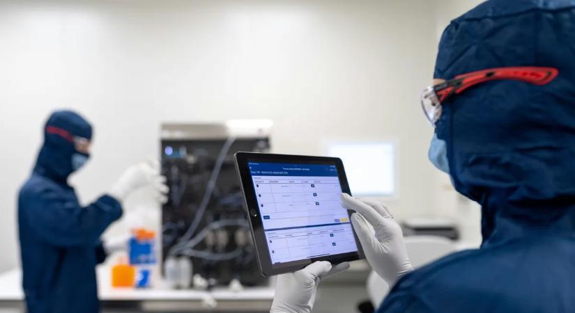 Szupergomba: a hagyományos kezelésekre alig reagál, viszont egyre gyorsabban terjed