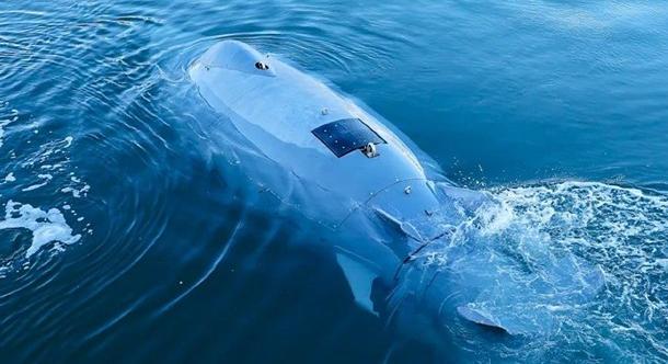 Német „szupercápa”: mesterséges intelligenciával működő drón védi a tengert