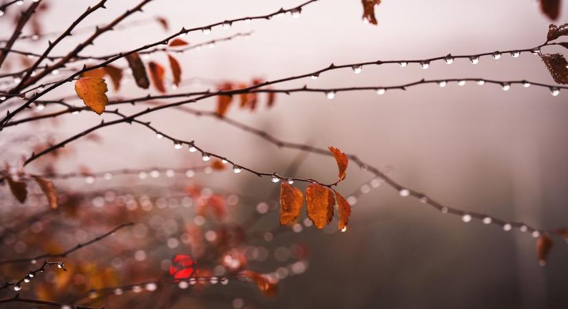 Esős őszi idő várható kedden