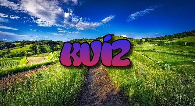 Kvíz: 10 egyszerű kérdés (vagy mégse?), amivel tesztelheted a tudásod!