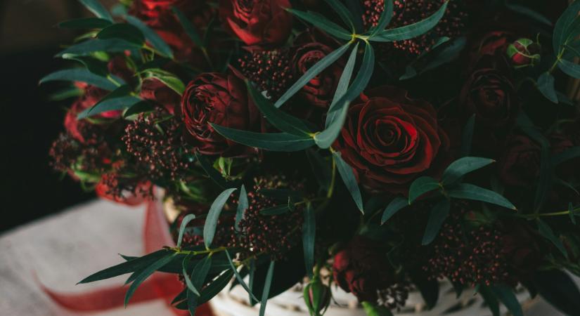 Ma, november 25. Katalin és Katinka névnapja van – Milyen a személyiségük?