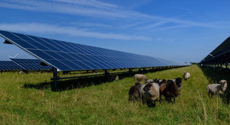 Nem jó úton járunk a zöldenergia-termeléssel