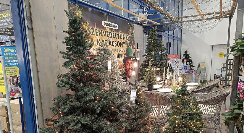 Ez a fenyő lesz az idei karácsony sztárja, erre számítsunk, ha megvesszük