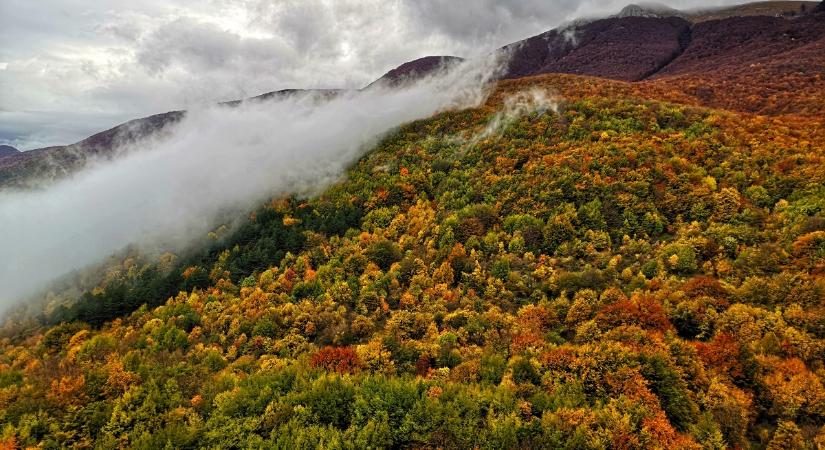 Gyerekek az erdőben – bíróság szakította szét az önfenntartó családot Olaszországban