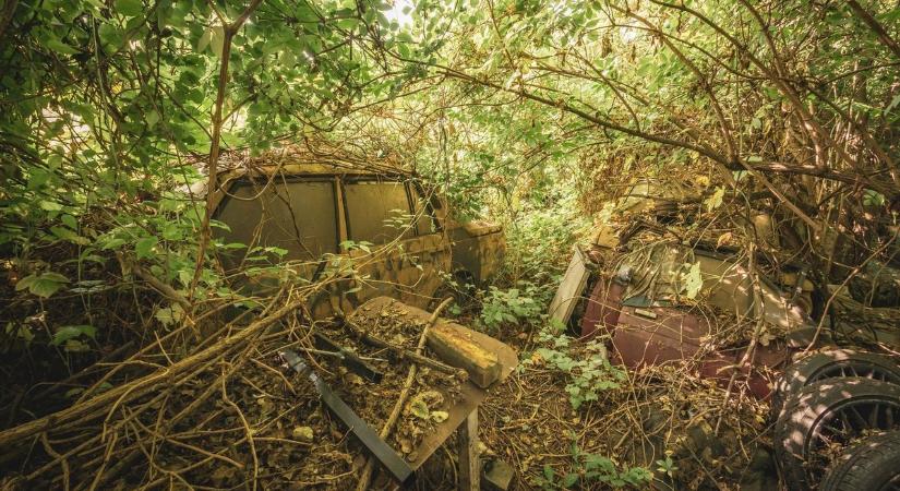 Látványos fotók készültek egy rejtélyes temetőről (galéria)
