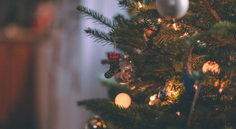 Varázspálcás karácsonyfa? Ezt az újdonságot muszáj látni