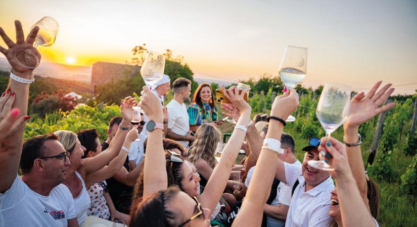 Dűlőről dűlőre – felfedezőúton Szekszárdon