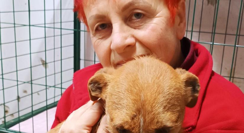 Marci, a kis hős, aki a szeretet erejével győzte le a fájdalmat