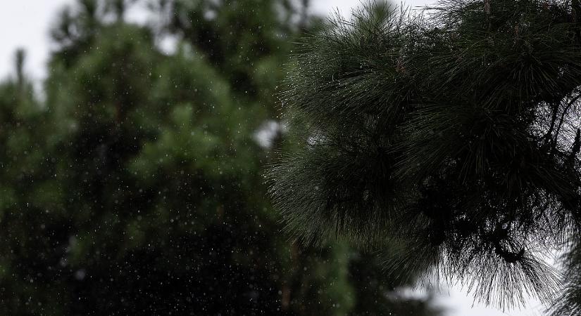 Eső, szél és enyhülés jön, a tél egy-két napra hátrébb lép