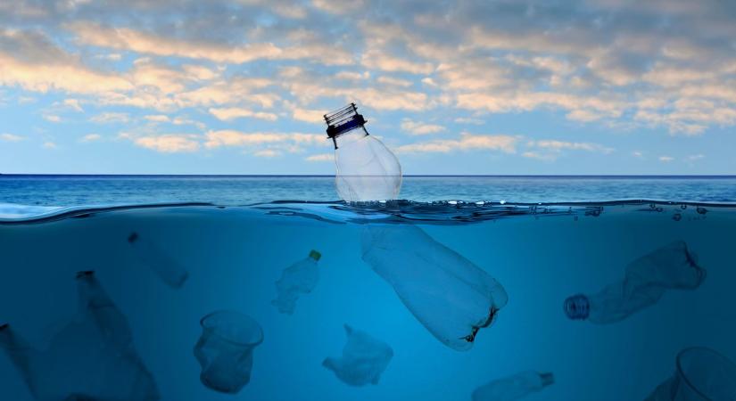 Tovább pusztítják a tengeri élővilágot az apró műanyagok: kevesebb mint 3 kockacukornyi is halálos lehet
