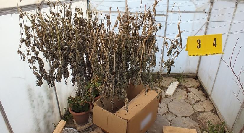 Nagy fogás: dílerekre, fogyasztókra és több kilogramm drogra csaptak le a hajdú-bihari rendőrök