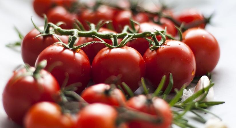 Áldozatul eshet a paradicsom a körülményeknek, látszanak az első jelek