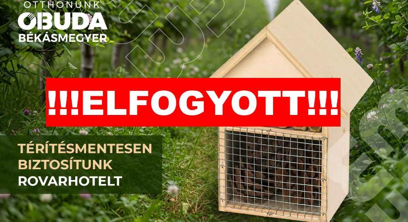 Az Óbuda újságban meghirdetett térítésmentesen igényelhető rovarhotel elfogyott