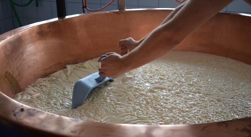 Ugyan a termelői nyerstej ára nőtt, a kiviteli ára jelentősen csökkent