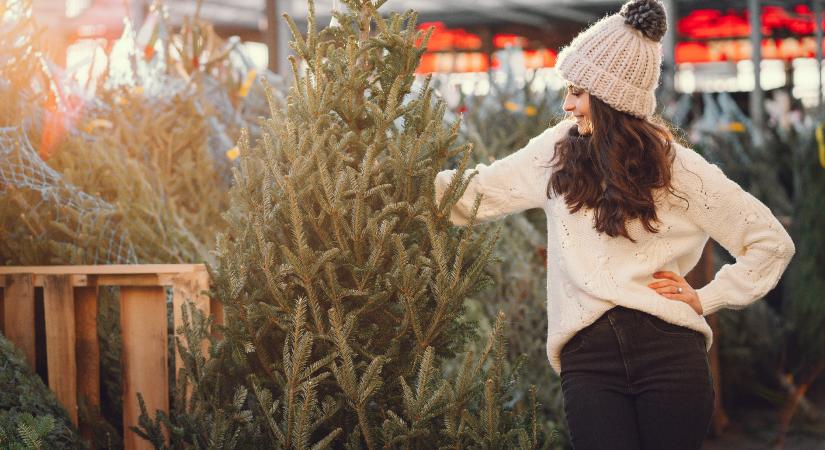 Luc, ezüst vagy nordmann karácsonyfa? Ilyen árakkal találkozhat idén a standokon