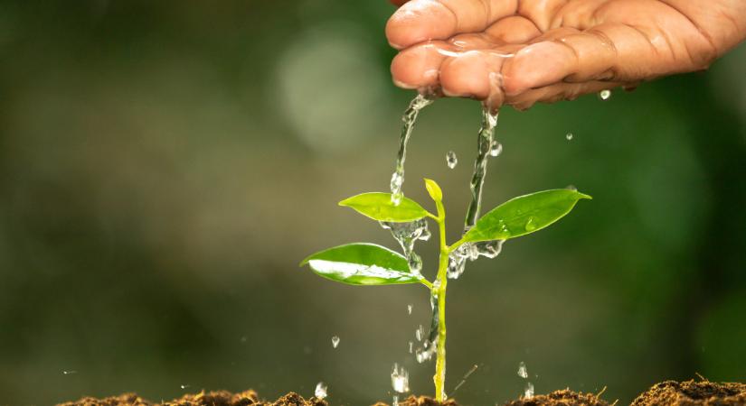 Kiderült, miért tűnt el több száz millió köbméter víz Magyarországon