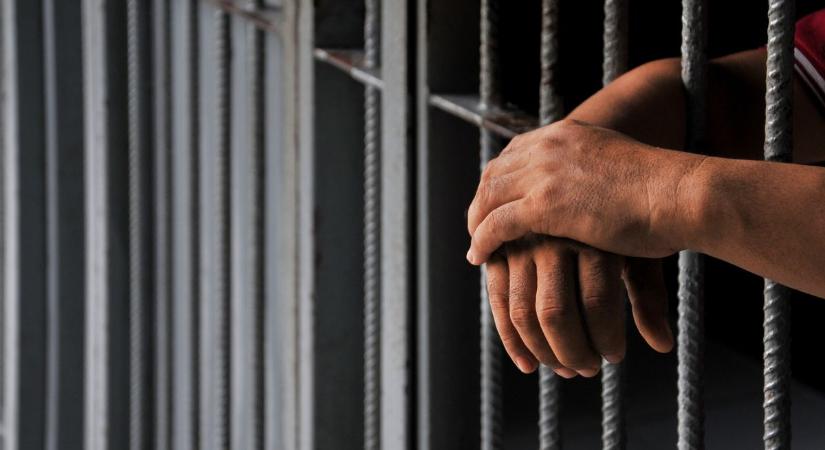 Szigorú ítéletre számíthat a komáromi kutyagyilkos