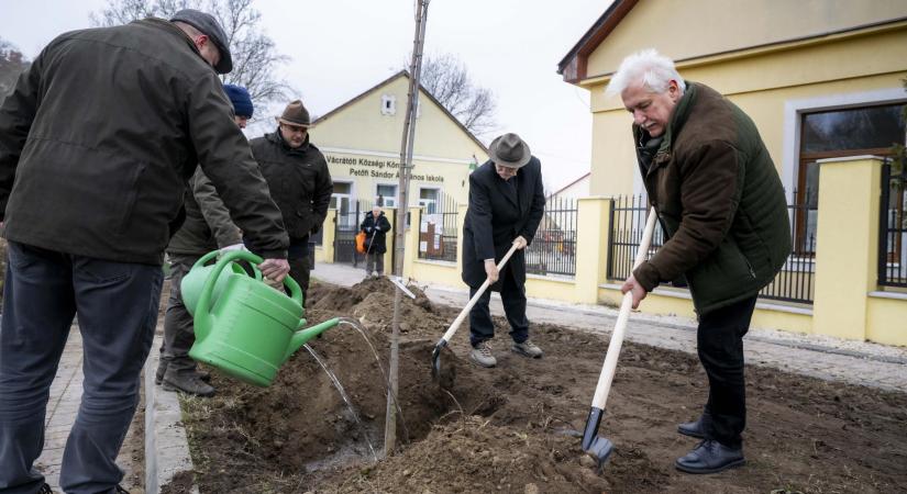 Vácrátóton folytatódott a Településfásítási Program