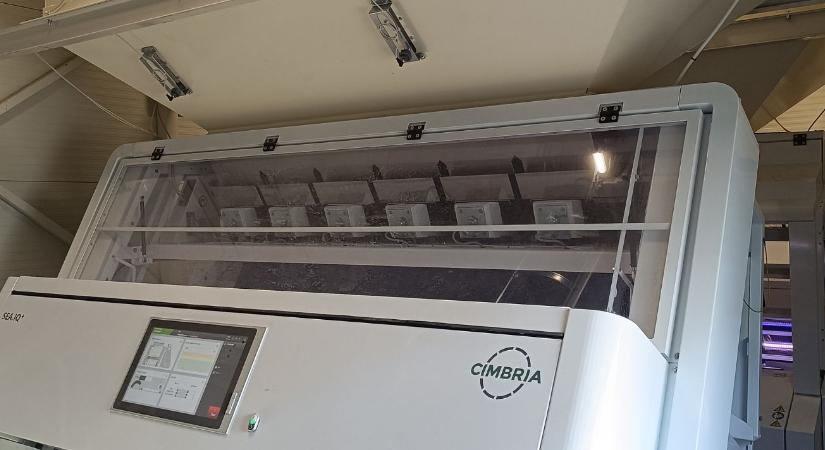 Amikor minden szem számít – high-tech a kukoricafeldolgozásban