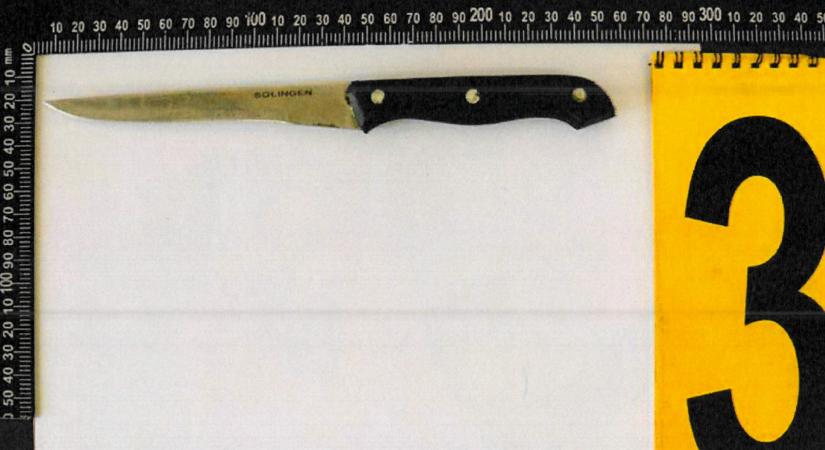 Vasvillával és késsel támadta meg haragosa édesanyját Esztergomban