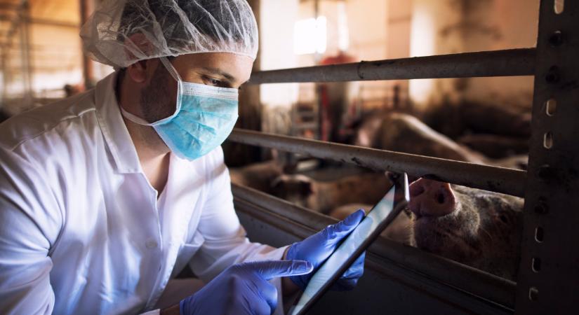 Kitört a járvány: 48 órás leállást rendeltek el ebben a térségben