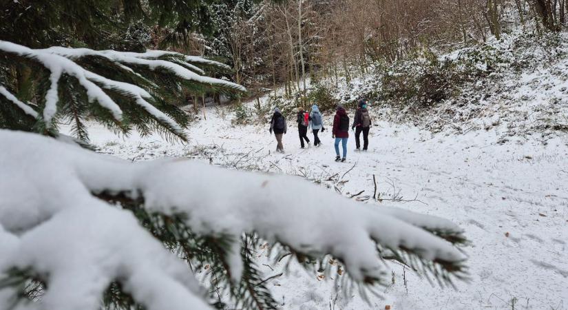 Hófúvás, zúzmara és a téli Kőszegi-hegyek: havas varázslat (giga galériával)