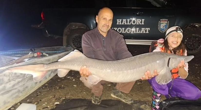 Brutális méretű tokhalat fogott egy dunai gyerekhorgász